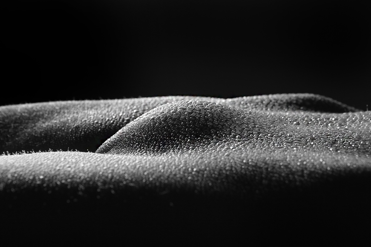 Body & Art boudoir beleving